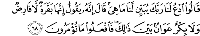 Surah 2 Ayah 68