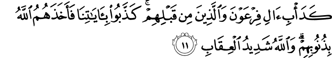 Surah 3 Ayah 11