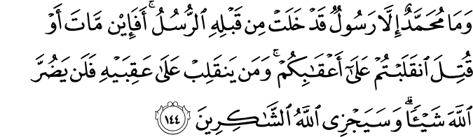 Surah 3 Ayah 144