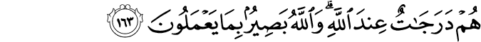 Surah 3 Ayah 163
