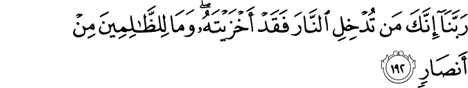 Surah 3 Ayah 192