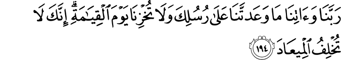 Surah 3 Ayah 194