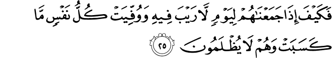 Surah 3 Ayah 25