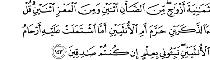 Surah 6 Ayah 143