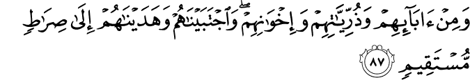 Surah 6 Ayah 87