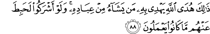 Surah 6 Ayah 88