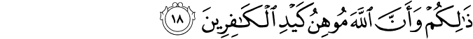 Surah 8 Ayah 18
