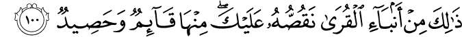 Surah 11 Ayah 100