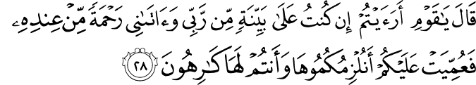 Surah 11 Ayah 28