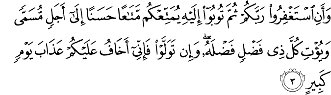 Surah 11 Ayah 3