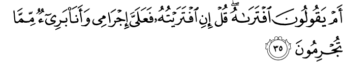 Surah 11 Ayah 35
