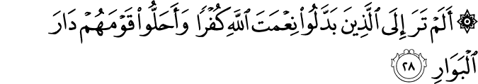 Surah 14 Ayah 28