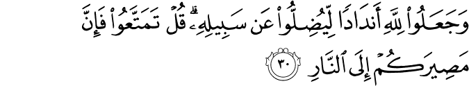 Surah 14 Ayah 30