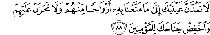 Surah 15 Ayah 88