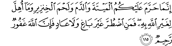 Surah 16 Ayah 115