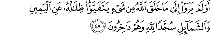Surah 16 Ayah 48