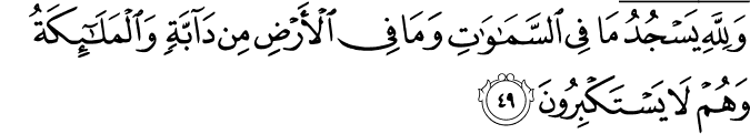 Surah 16 Ayah 49