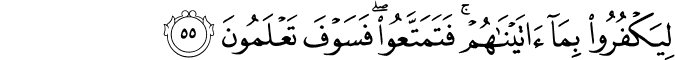 Surah 16 Ayah 55