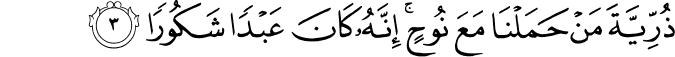 Surah 17 Ayah 3