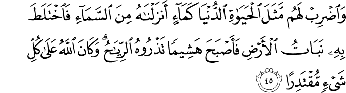 Surah 18 Ayah 45