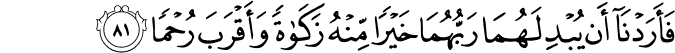 Surah 18 Ayah 81