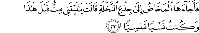 Surah 19 Ayah 23
