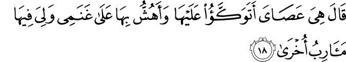 Surah 20 Ayah 18