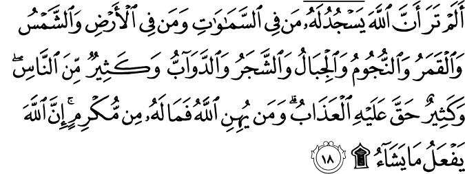Surah 22 Ayah 18