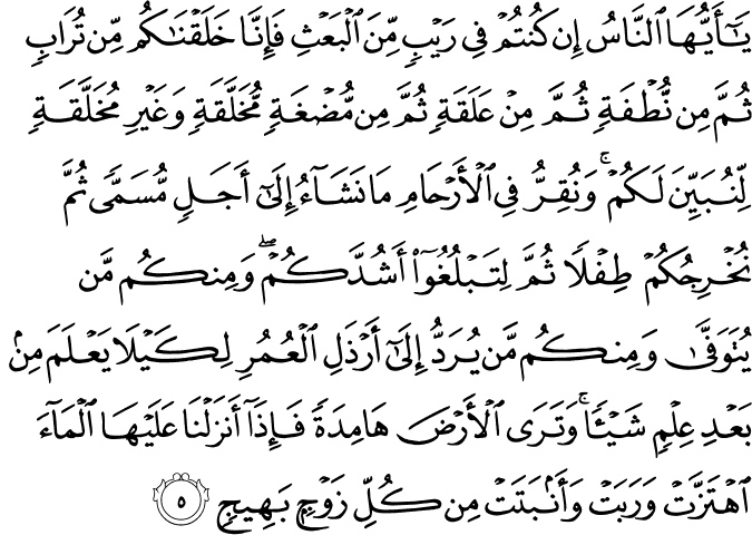 Surah 22 Ayah 5