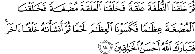 Surah 23 Ayah 14
