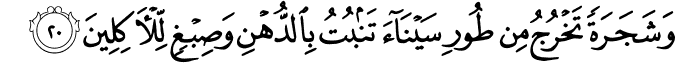 Surah 23 Ayah 20