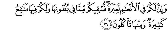 Surah 23 Ayah 21