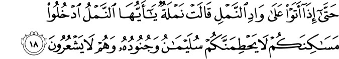 Surah 27 Ayah 18