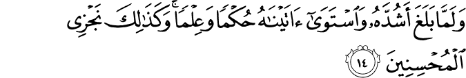 Surah 28 Ayah 14