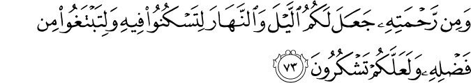 Surah 28 Ayah 73