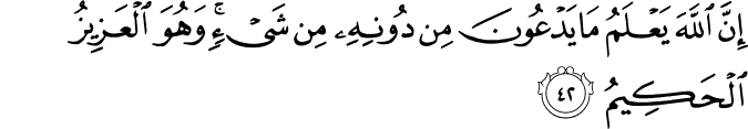 Surah 29 Ayah 42