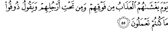 Surah 29 Ayah 55