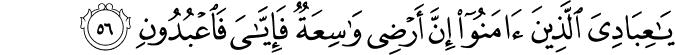 Surah 29 Ayah 56