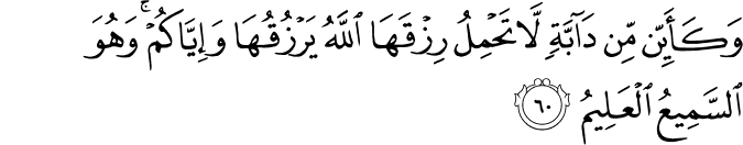 Surah 29 Ayah 60