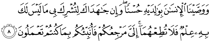Surah 29 Ayah 8