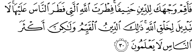 Surah 30 Ayah 30