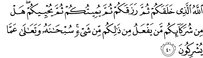 Surah 30 Ayah 40