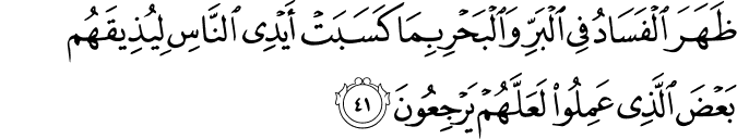 Surah 30 Ayah 41
