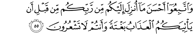 Surah 39 Ayah 55