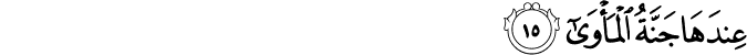 Surah 53 Ayah 15