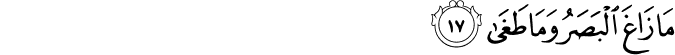 Surah 53 Ayah 17
