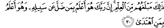 Surah 53 Ayah 30