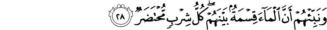 Surah 54 Ayah 28