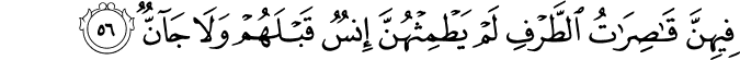 Surah 55 Ayah 56