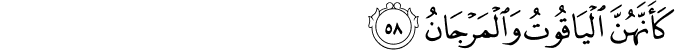 Surah 55 Ayah 58